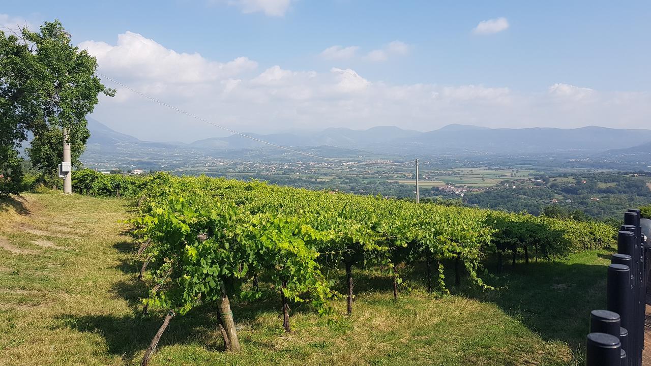 Lisandro Wine Resort Apartments Caserta Castel Campagnano Exteriér fotografie