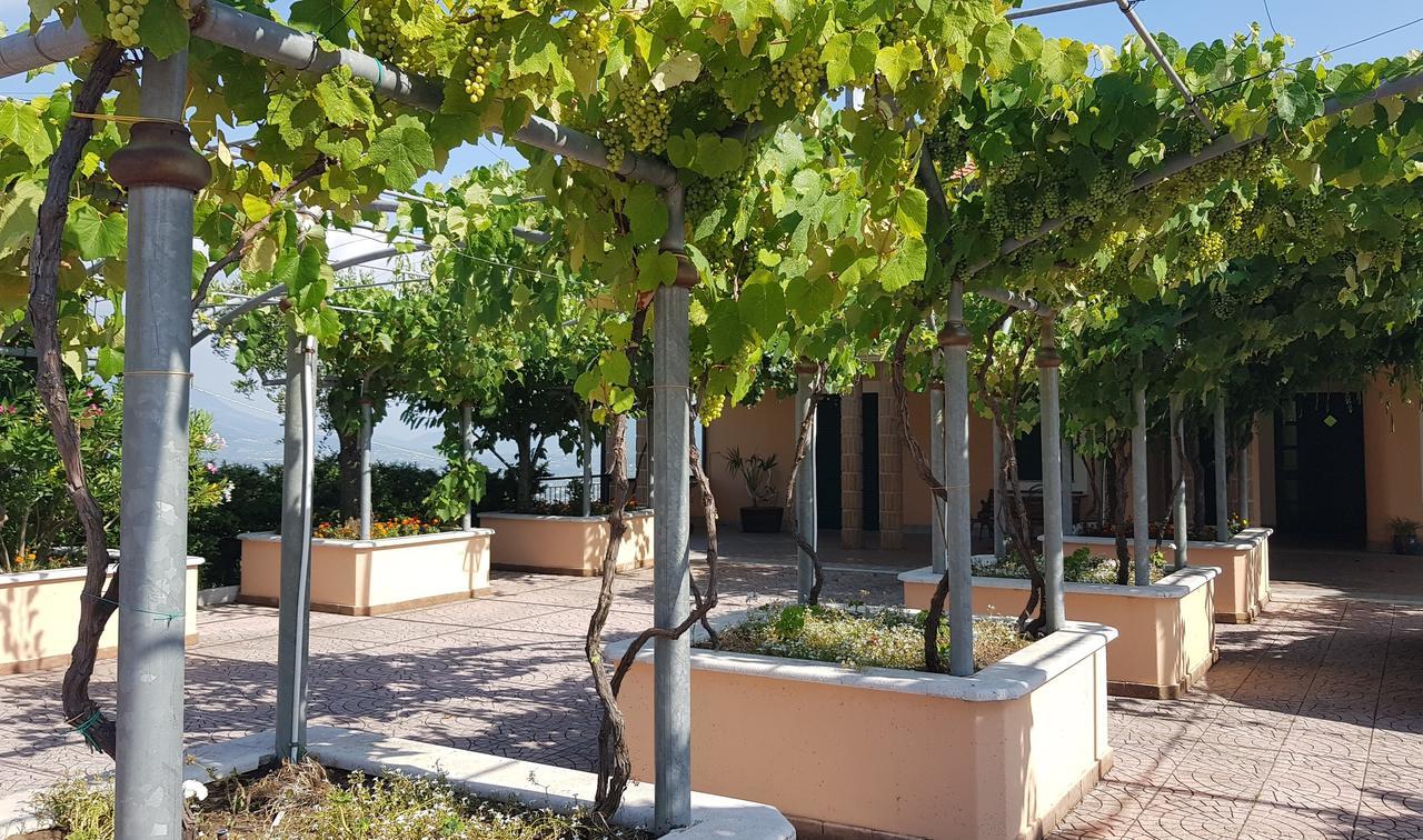 Lisandro Wine Resort Apartments Caserta Castel Campagnano Exteriér fotografie