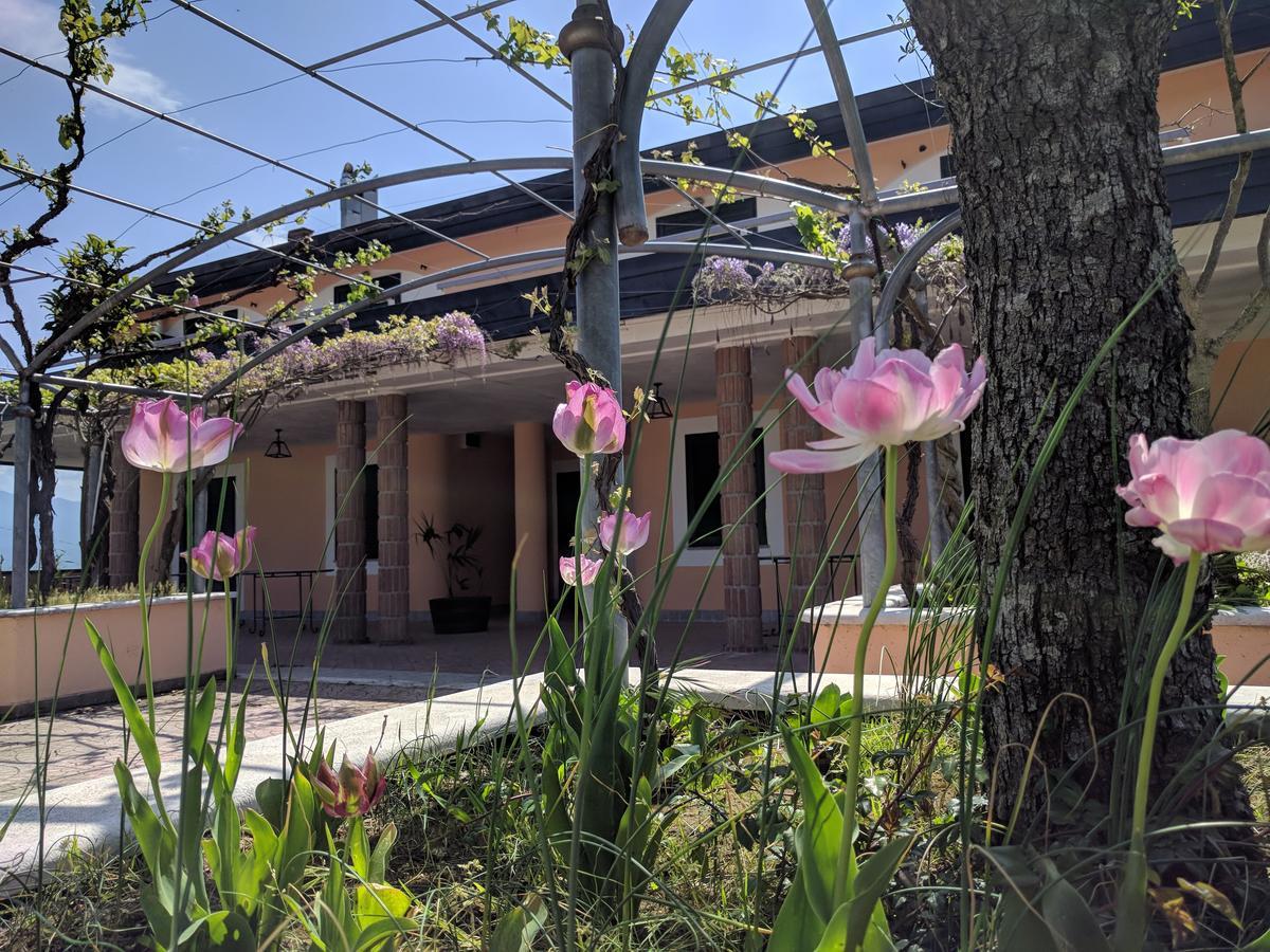 Lisandro Wine Resort Apartments Caserta Castel Campagnano Exteriér fotografie